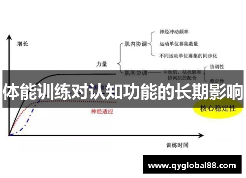 体能训练对认知功能的长期影响